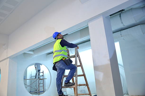 Professional Mold Removal in Oak Point, TX